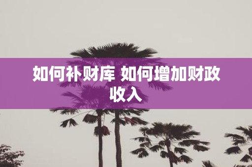如何补财库 如何增加财政收入