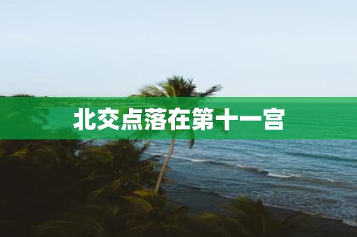 北交点落在第十一宫