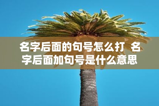名字后面的句号怎么打 名字后面加句号是什么意思