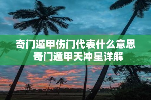 奇门遁甲伤门代表什么意思 奇门遁甲天冲星详解