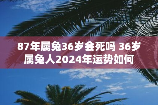 87年属兔36岁会死吗 36岁属兔人2025年运势如何