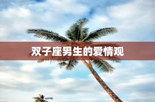 双子座男生的爱情观