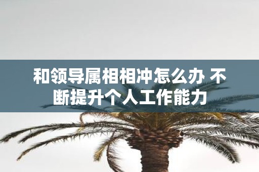 和领导属相相冲怎么办 不断提升个人工作能力
