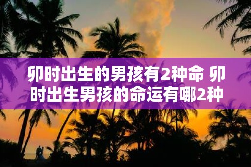 卯时出生的男孩有2种命 卯时出生男孩的命运有哪2种