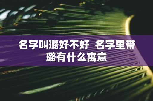 名字叫璐好不好 名字里带璐有什么寓意