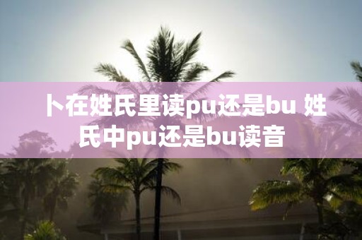 卜在姓氏里读pu还是bu 姓氏中pu还是bu读音