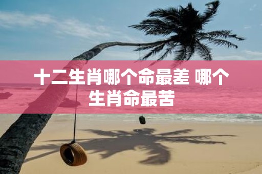 十二生肖哪个命最差 哪个生肖命最苦