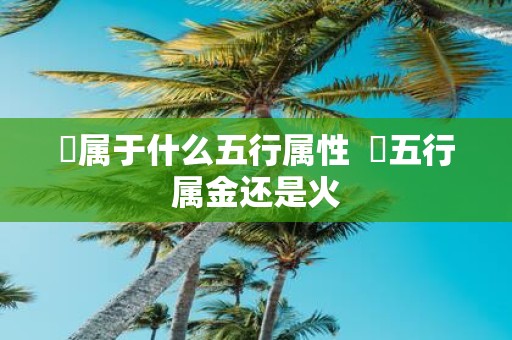 喆属于什么五行属性 喆五行属金还是火