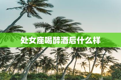 处女座喝醉酒后什么样