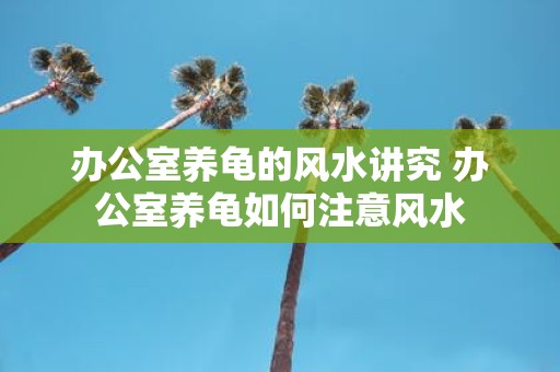 办公室养龟的风水讲究 办公室养龟如何注意风水