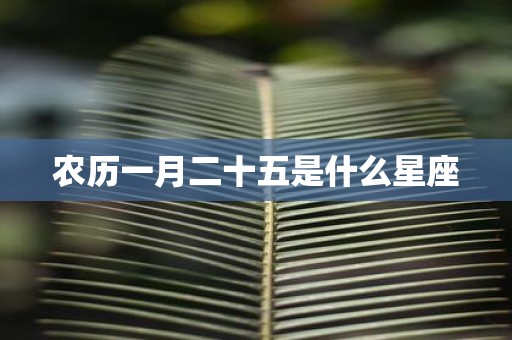 农历一月二十五是什么星座