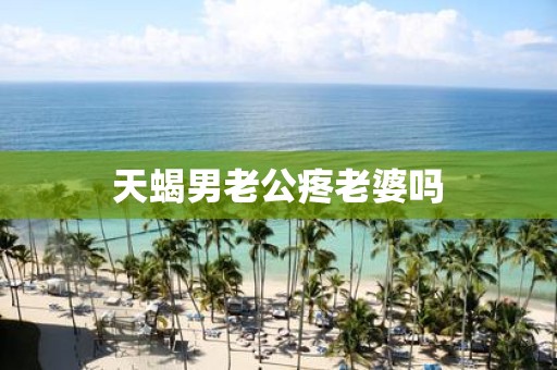 天蝎男老公疼老婆吗