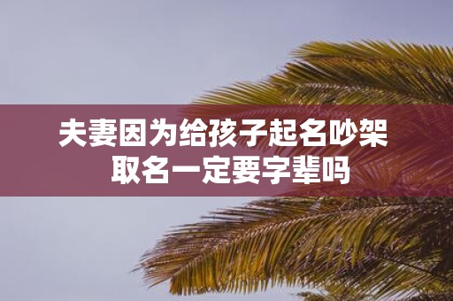 夫妻因为给孩子起名吵架 取名一定要字辈吗
