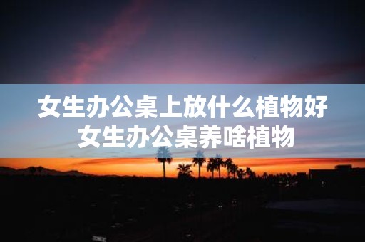 女生办公桌上放什么植物好 女生办公桌养啥植物