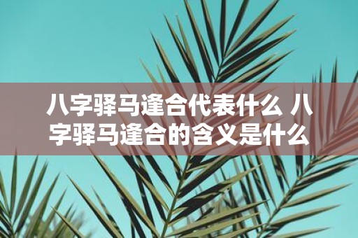 八字驿马逢合代表什么 八字驿马逢合的含义是什么