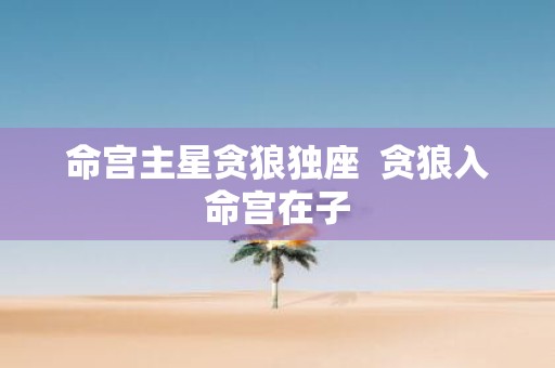 命宫主星贪狼独座 贪狼入命宫在子