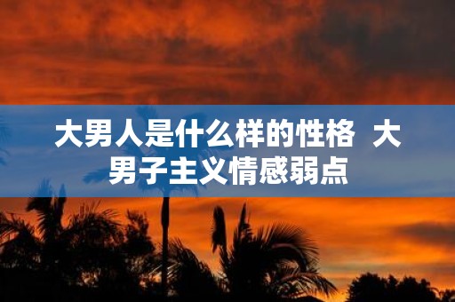 大男人是什么样的性格 大男子主义情感弱点