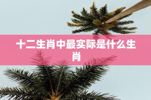 十二生肖中最实际是什么生肖