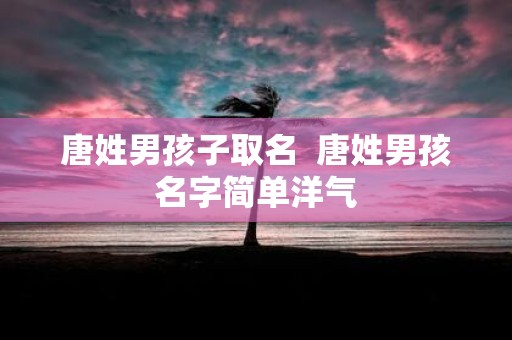唐姓男孩子取名 唐姓男孩名字简单洋气