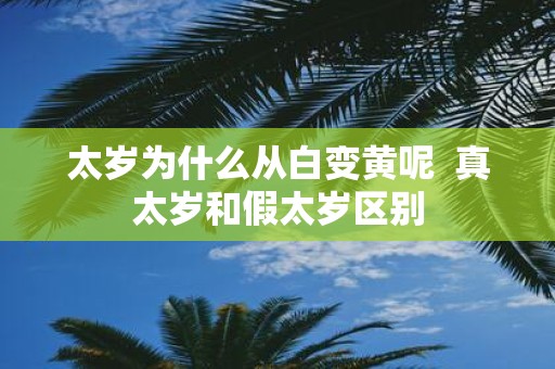 太岁为什么从白变黄呢  真太岁和假太岁区别