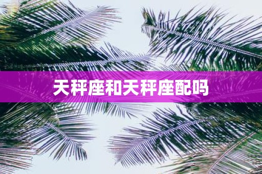 天秤座和天秤座配吗
