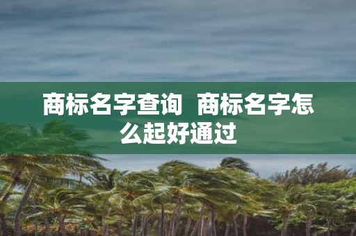 商标名字查询 商标名字怎么起好通过