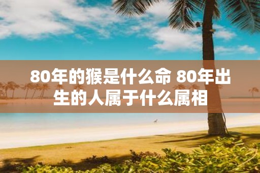 80年的猴是什么命 80年出生的人属于什么属相