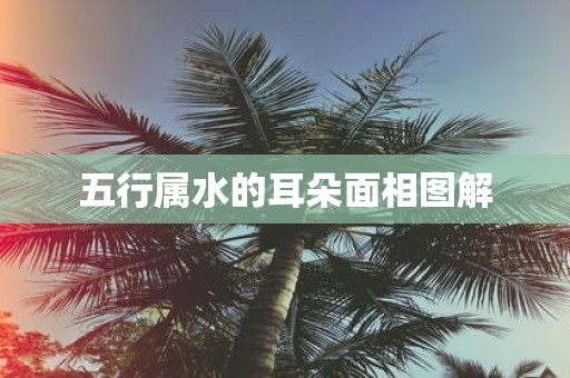 五行属水的耳朵面相图解