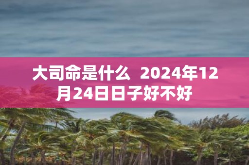大司命是什么 2025年12月24日日子好不好