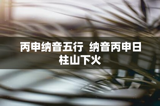 丙申纳音五行 纳音丙申日柱山下火