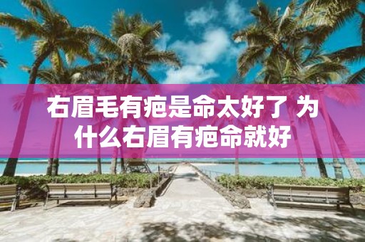 右眉毛有疤是命太好了 为什么右眉有疤命就好
