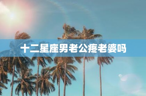 十二星座男老公疼老婆吗