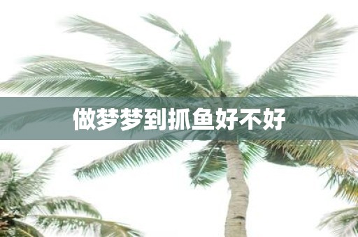 做梦梦到抓鱼好不好