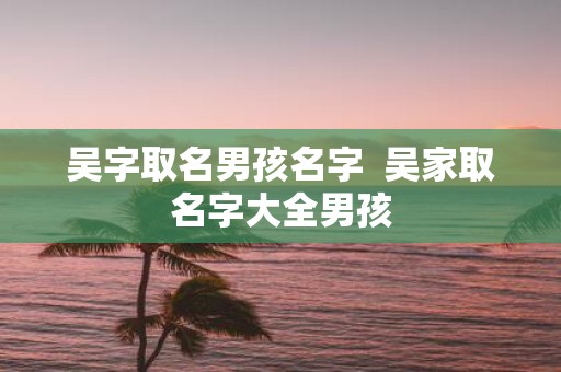 吴字取名男孩名字 吴家取名字大全男孩