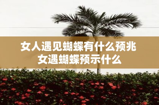 女人遇见蝴蝶有什么预兆 女遇蝴蝶预示什么