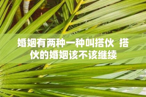 婚姻有两种一种叫搭伙 搭伙的婚姻该不该继续