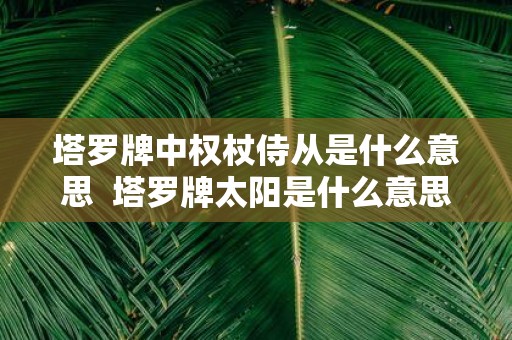 塔罗牌中权杖侍从是什么意思 塔罗牌太阳是什么意思