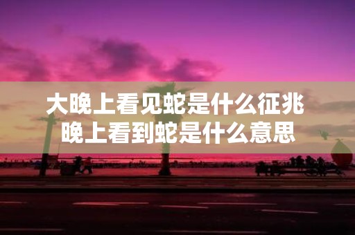 大晚上看见蛇是什么征兆 晚上看到蛇是什么意思