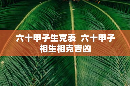 六十甲子生克表 六十甲子相生相克吉凶