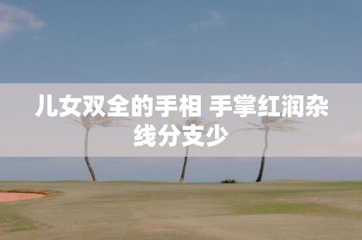 儿女双全的手相 手掌红润杂线分支少