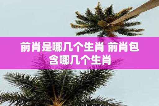 前肖是哪几个生肖 前肖包含哪几个生肖
