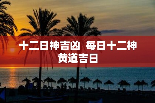 十二日神吉凶 每日十二神黄道吉日