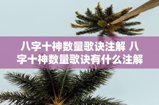 八字十神数量歌诀注解 八字十神数量歌诀有什么注解