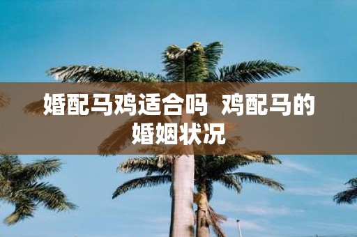 婚配马鸡适合吗 鸡配马的婚姻状况