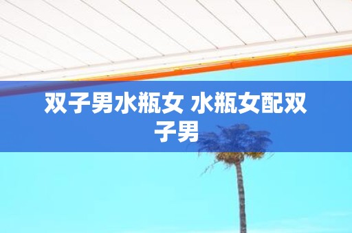 双子男水瓶女 水瓶女配双子男