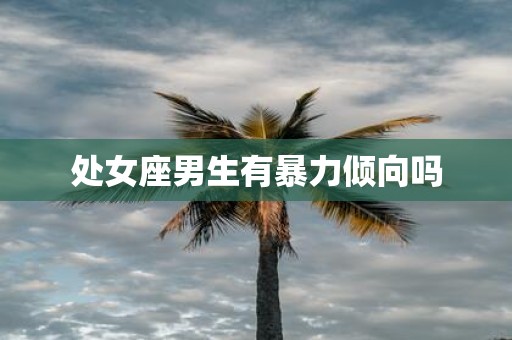 处女座男生有暴力倾向吗