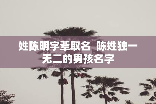 姓陈明字辈取名 陈姓独一无二的男孩名字