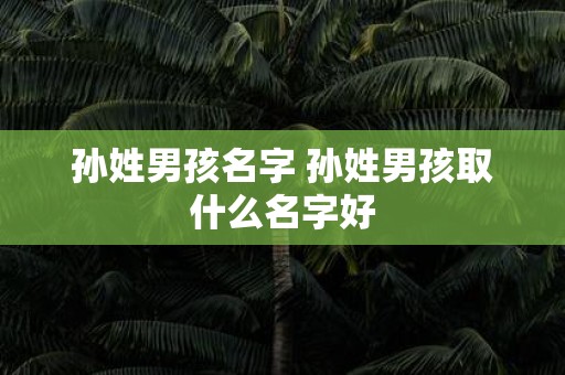 孙姓男孩名字 孙姓男孩取什么名字好
