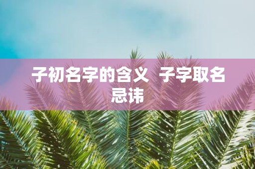 子初名字的含义 子字取名忌讳