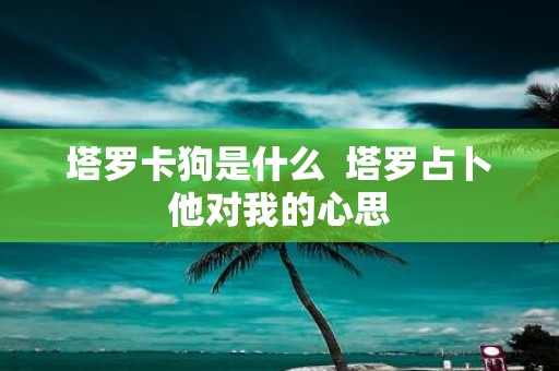 塔罗卡狗是什么 塔罗占卜他对我的心思